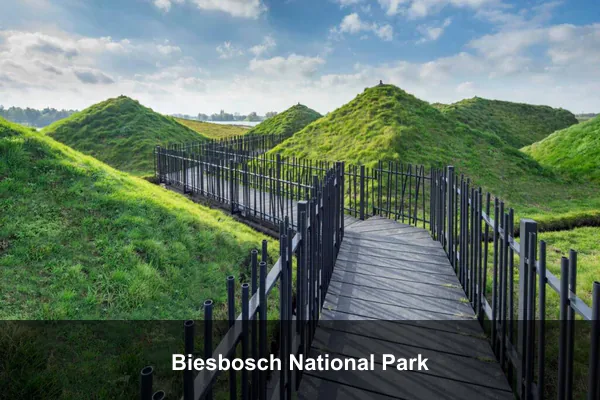 Biesbosch National Park