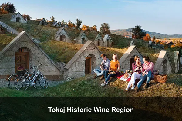 Tokaj Historic Wine Region
