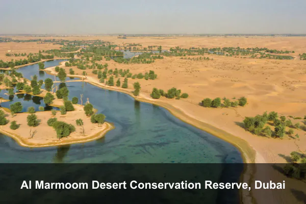 Al Marmoom Desert Conservation Reserve, Dubai