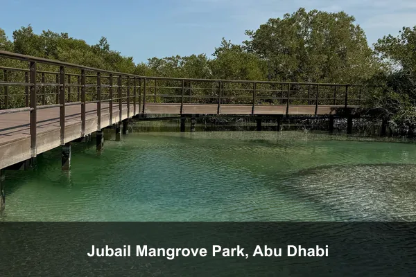 Jubail Mangrove Park, Abu Dhabi