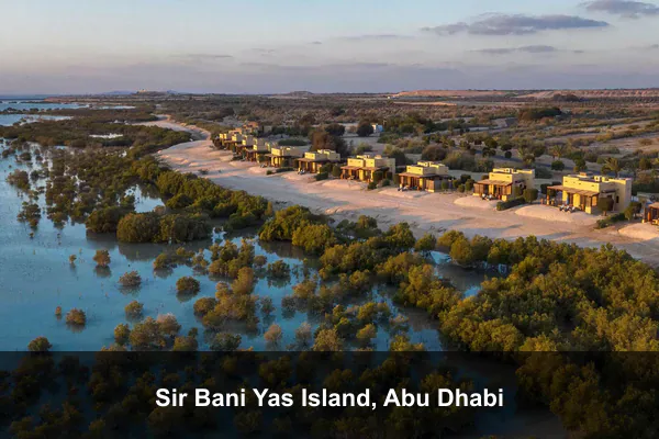 Sir Bani Yas Island, Abu Dhabi