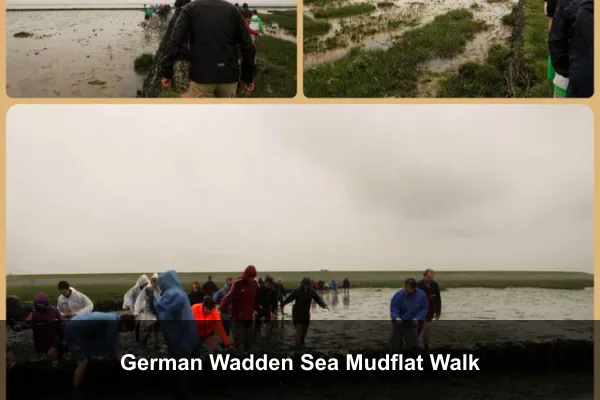German Wadden Sea Mudflat Walk