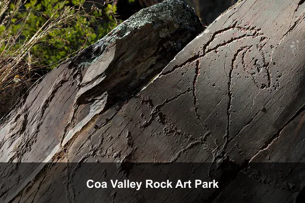 Coa Valley Rock Art Park