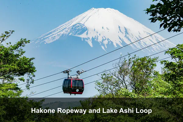 Hakone Ropeway and Lake Ashi Loop
