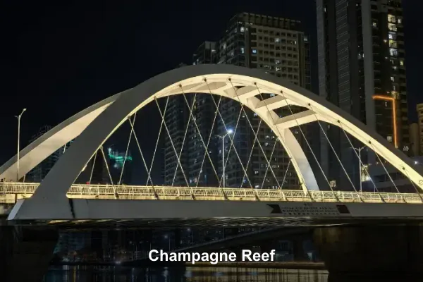 Champagne Reef