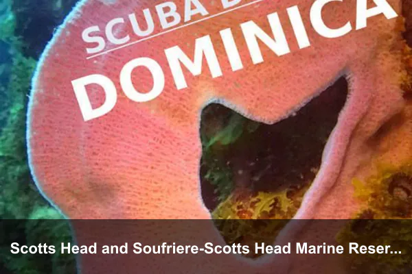 Scotts Head and Soufriere-Scotts Head Marine Reserve