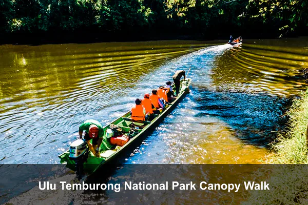 Ulu Temburong National Park Canopy Walk