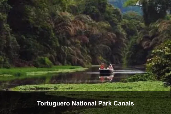 Tortuguero National Park Canals