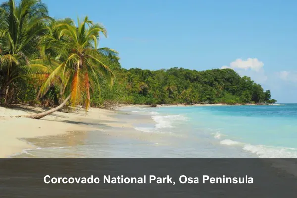 Corcovado National Park, Osa Peninsula