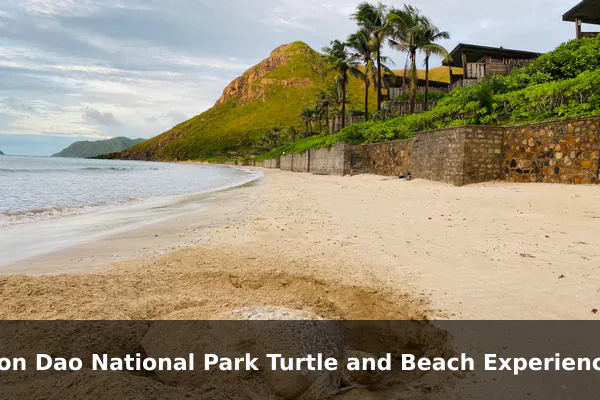 Con Dao National Park Turtle and Beach Experience