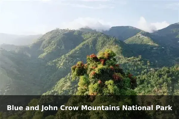 Blue and John Crow Mountains National Park