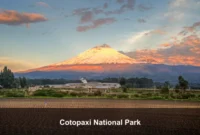 Cotopaxi National Park