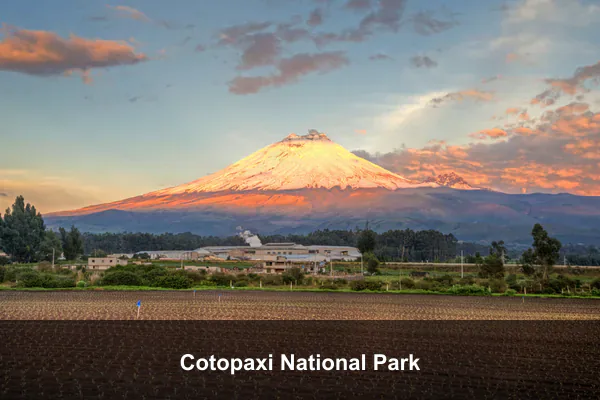 Cotopaxi National Park