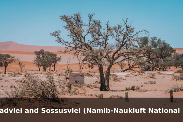 Deadvlei and Sossusvlei (Namib-Naukluft National Park)