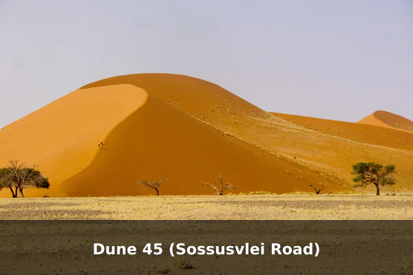 Dune 45 (Sossusvlei Road)