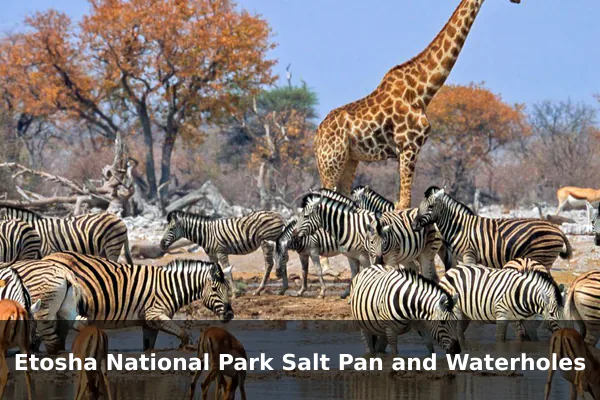 Etosha National Park Salt Pan and Waterholes