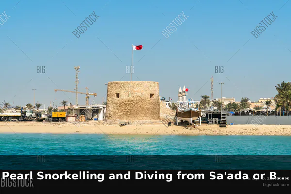 Pearl Snorkelling and Diving from Sa'ada or Bu Maher Fort