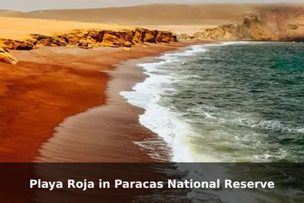 Playa Roja in Paracas National Reserve