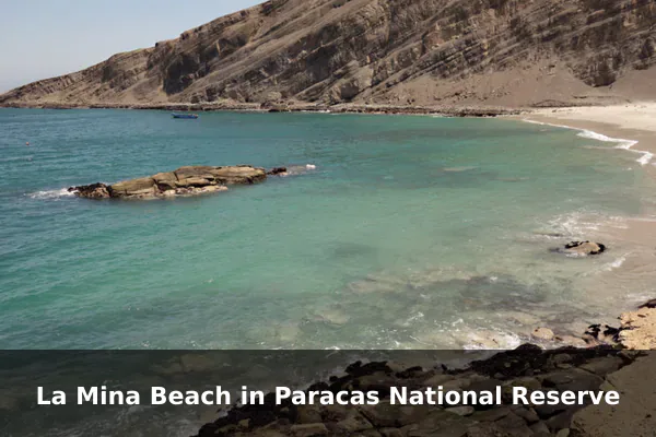 La Mina Beach in Paracas National Reserve