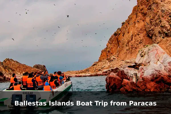 Ballestas Islands Boat Trip from Paracas