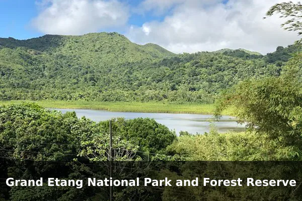 Grand Etang National Park and Forest Reserve