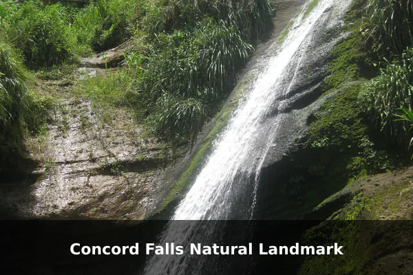 Concord Falls Natural Landmark