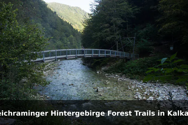 Reichraminger Hintergebirge Forest Trails in Kalkalpen National Park