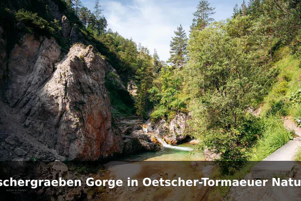 Oetschergraeben Gorge in Oetscher-Tormaeuer Nature Park
