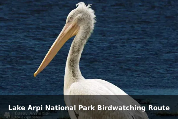 Lake Arpi National Park Birdwatching Route