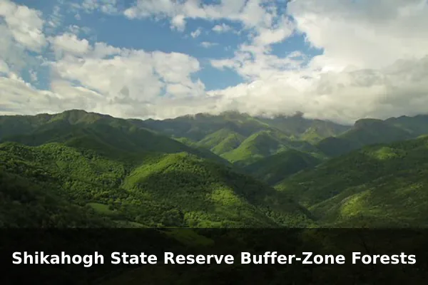 Shikahogh State Reserve Buffer-Zone Forests