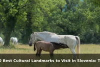 10 Best Cultural Landmarks to Visit in Slovenia: Travel Recommendations and Tips