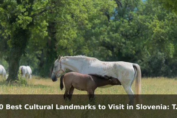 10 Best Cultural Landmarks to Visit in Slovenia: Travel Recommendations and Tips