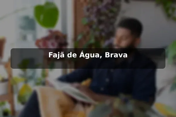 Fajã de Água, Brava