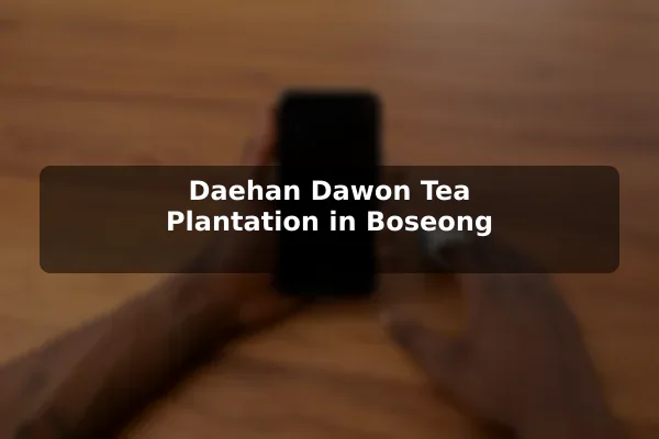 Daehan Dawon Tea Plantation in Boseong