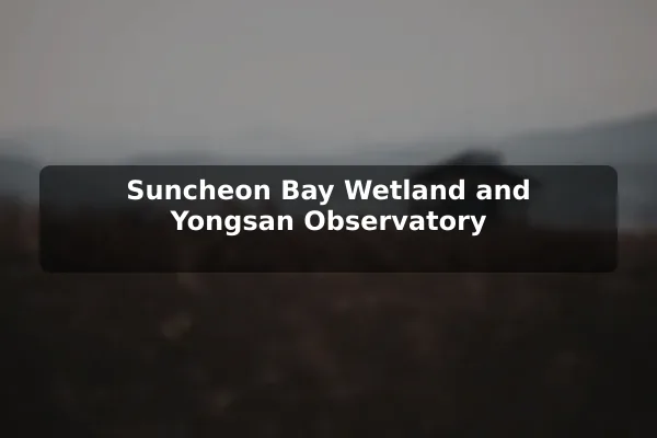 Suncheon Bay Wetland and Yongsan Observatory
