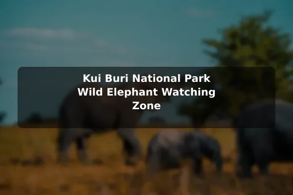 Kui Buri National Park Wild Elephant Watching Zone