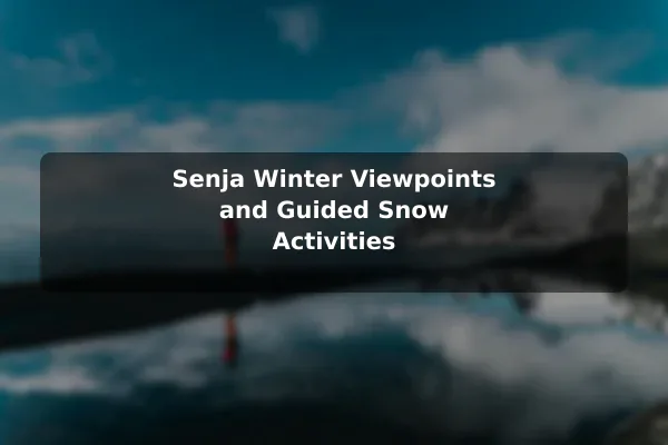 Senja Winter Viewpoints and Guided Snow Activities