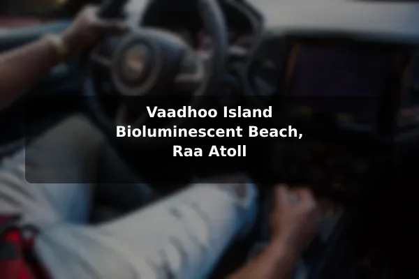 Vaadhoo Island Bioluminescent Beach, Raa Atoll