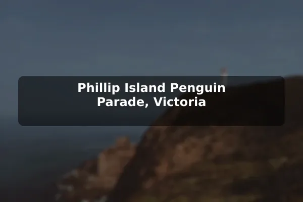 Phillip Island Penguin Parade, Victoria
