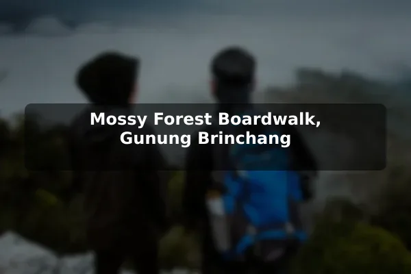 Mossy Forest Boardwalk, Gunung Brinchang