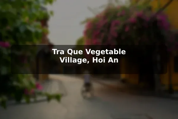 Tra Que Vegetable Village, Hoi An