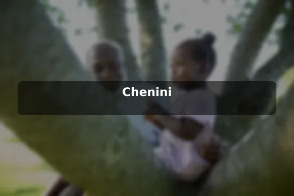 Chenini