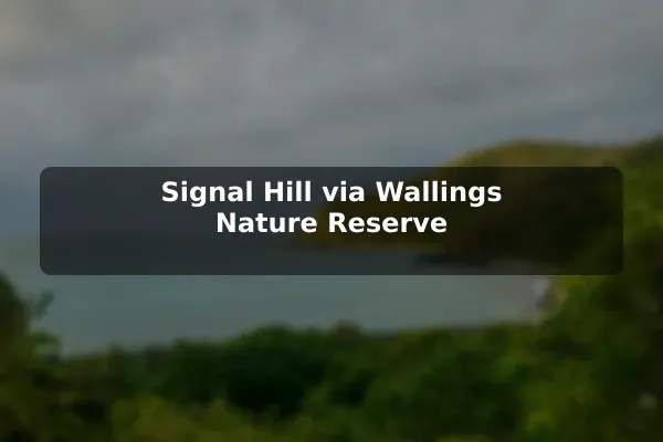 Signal Hill via Wallings Nature Reserve