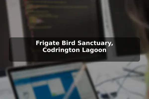 Frigate Bird Sanctuary, Codrington Lagoon