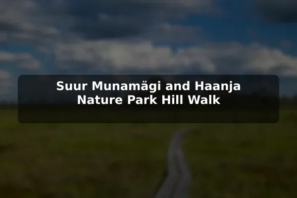 Suur Munamägi and Haanja Nature Park Hill Walk