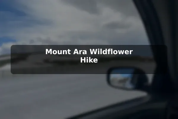 Mount Ara Wildflower Hike