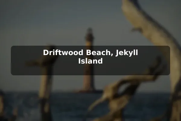 Driftwood Beach, Jekyll Island