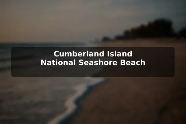 Cumberland Island National Seashore Beach
