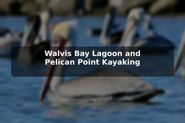 Walvis Bay Lagoon and Pelican Point Kayaking