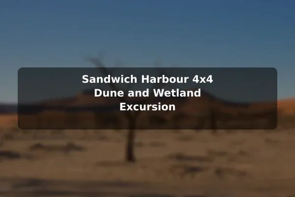 Sandwich Harbour 4x4 Dune and Wetland Excursion